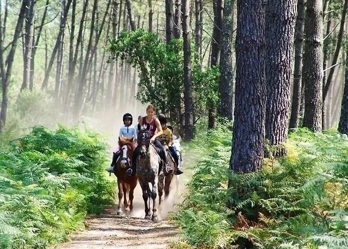 T2 Avec Terrasse Et Piscine A Vieux-boucau, Ideal Pour Les ! - Fr-1-379-18 Daire *